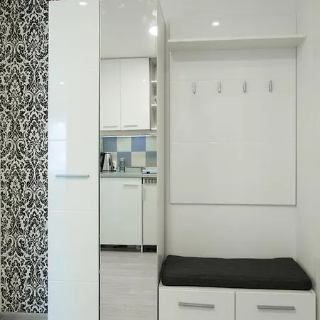 Apartment Vracar *